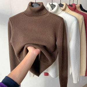 🎁New Year Sale-50% OFF🎁Winter Fleece Thick Knitted Bottoming Sweater(Buy 2 Free Shipping Today!)