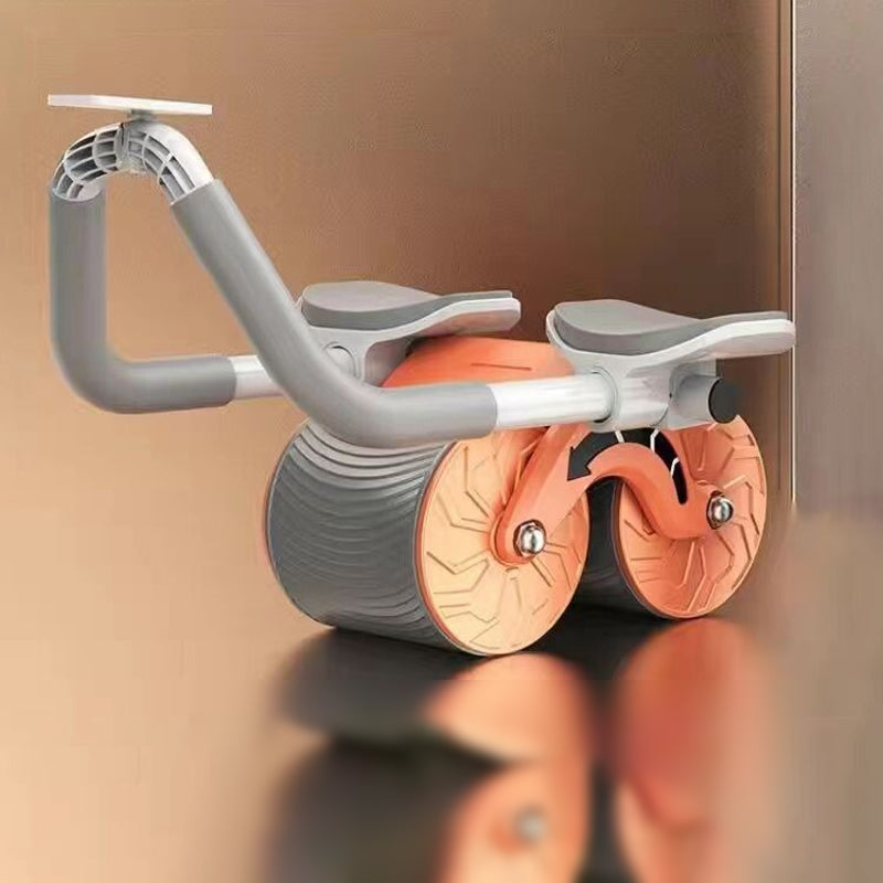 🎉Free Shipping 🎉 Plank Ab Roller Wheel for Core Trainer