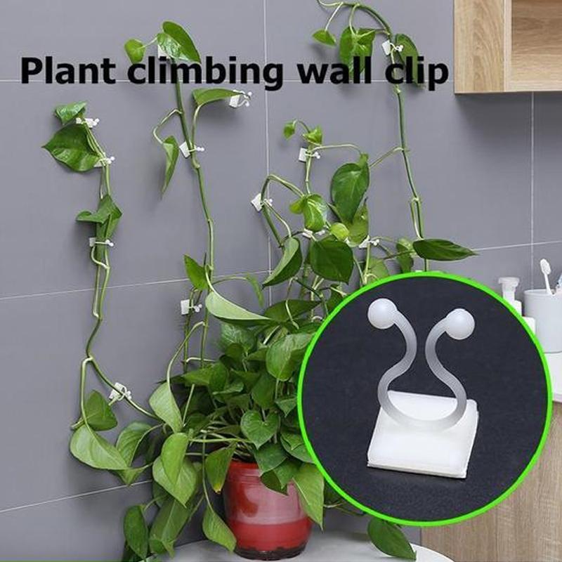 Plant Climbing Wall Clip
