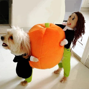 Funny Pet Costumes