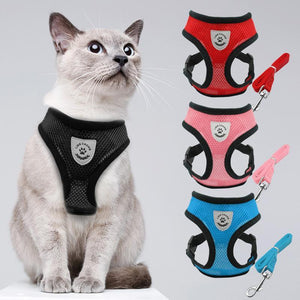 Cat Harness And Leash For Adventure