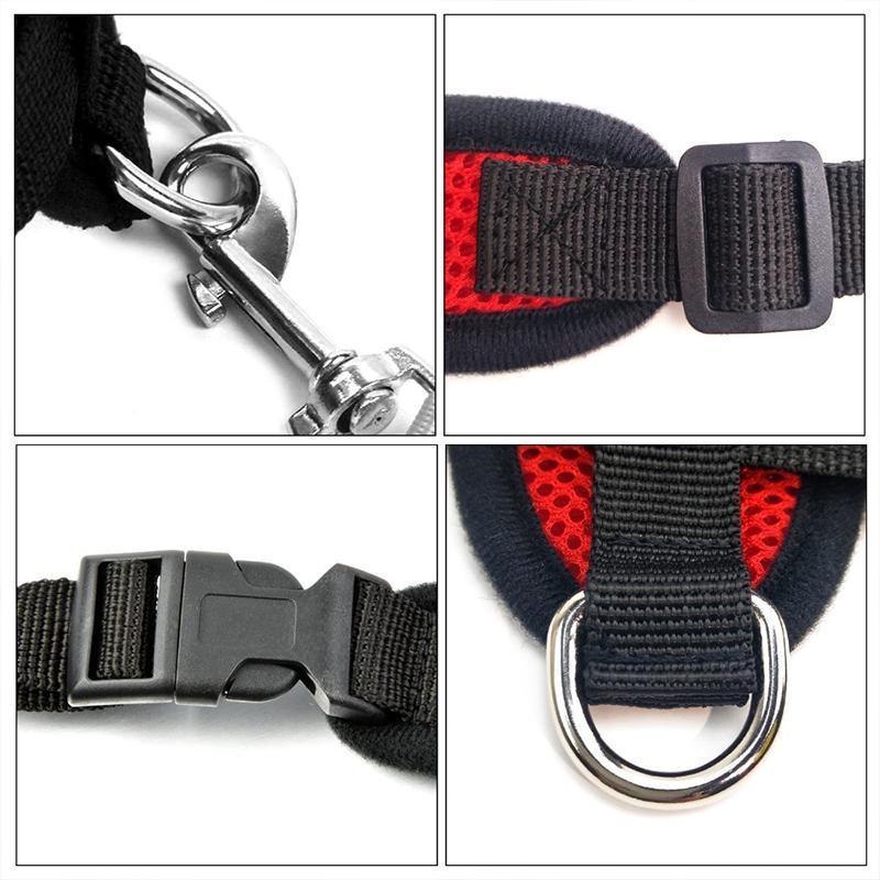 Cat Harness And Leash For Adventure