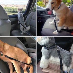Adjustable Seat Belts for Dogs