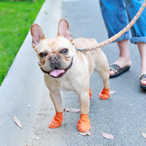 Waterproof Dog Shoes for Paw Protection