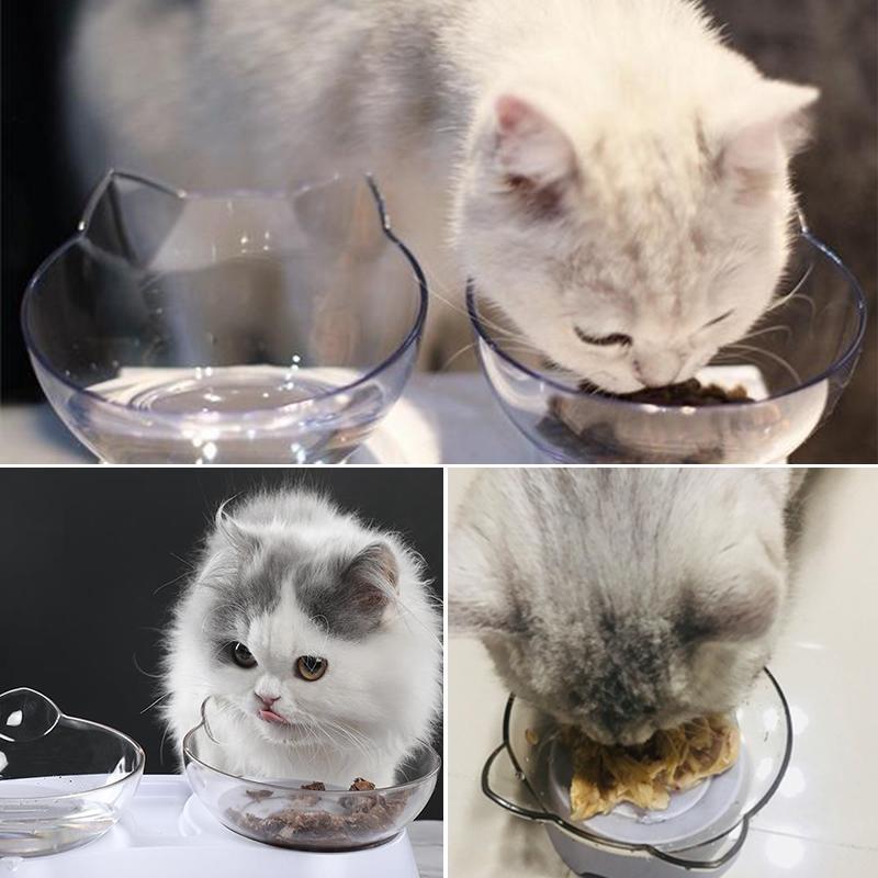 Cat Feeding Bowl (Single/Double)