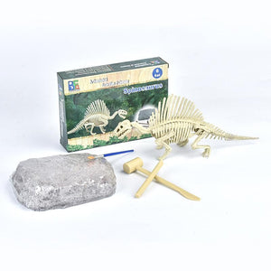 DIY Archaeological Mining Dinosaur Fossil Toys