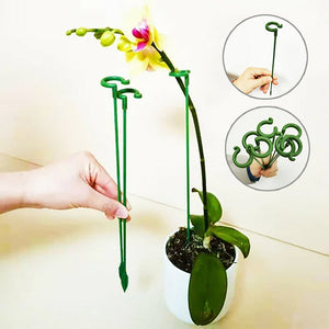 🌺55% OFF🌿Plant Support Stake