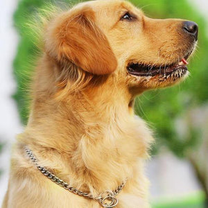 Dog Training Collars Snake P Choke Metal Slip Chain